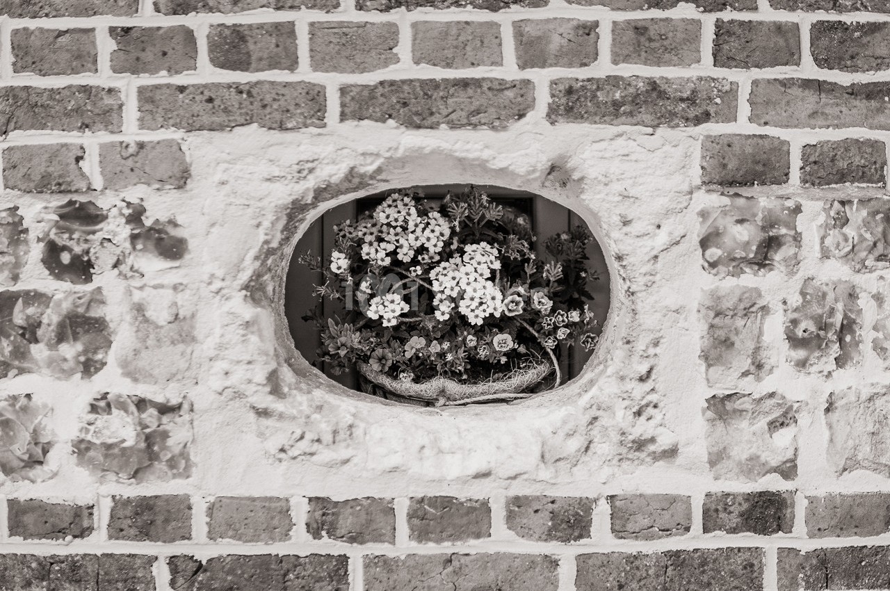 Fleurs disposées dans une ouverture ovale d'un mur en briques, encadrées par de la pierre.