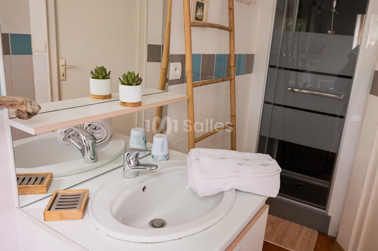 Salle de bain avec lavabo, miroir, serviette pliée, plantes décoratives et douche vitrée en arrière-plan.