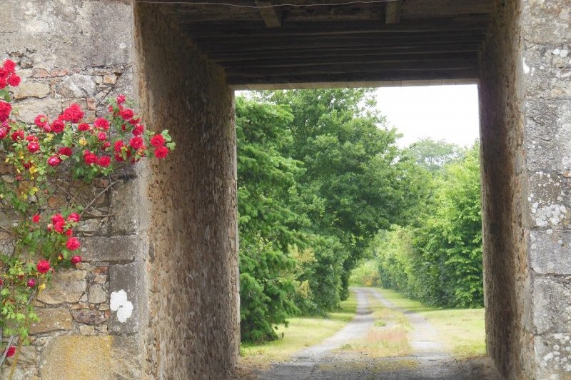Domaine De La Gautronnière - photo 3