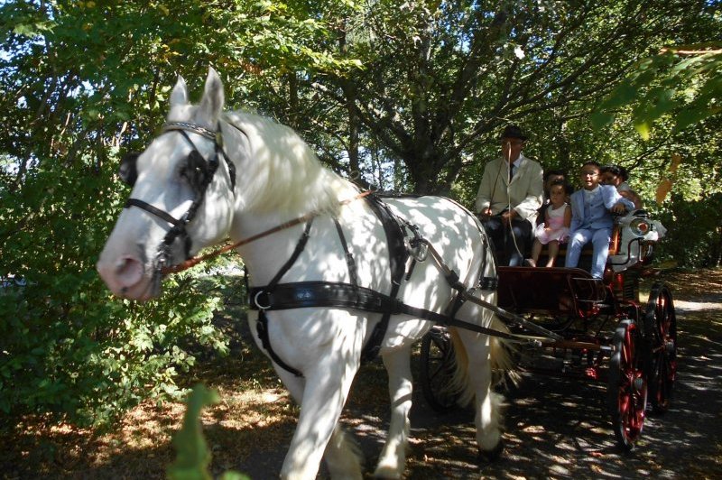 Domaine De La Gautronnière - photo 4