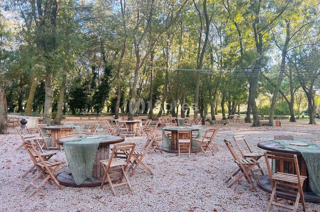 Tables et chaises en bois disposées en extérieur sur un sol gravillonné, entourées d'arbres dans un cadre naturel.
