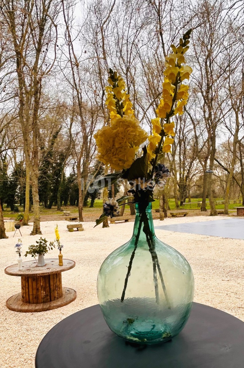 Vase en verre transparent avec des fleurs jaunes et blanches, posé sur une table devant un jardin arboré en hiver.