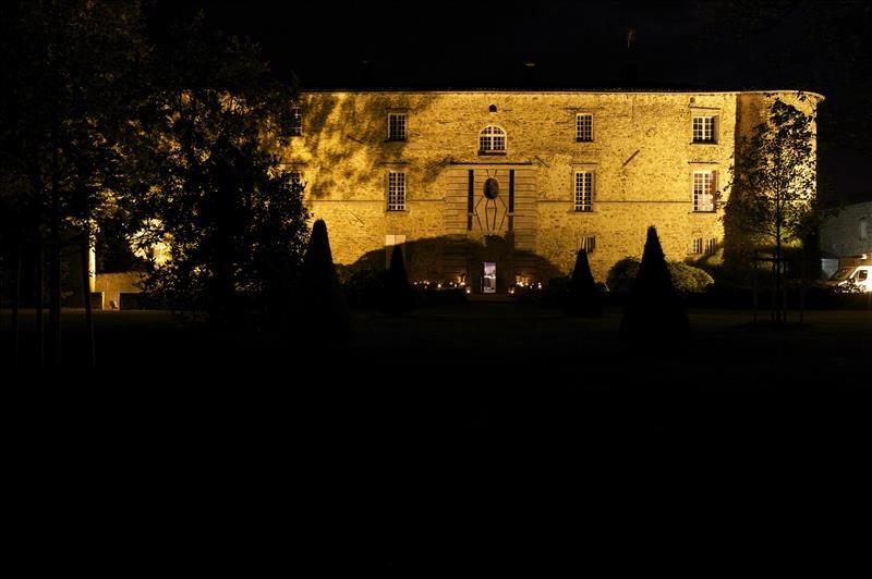Château De Chassagny - photo 5