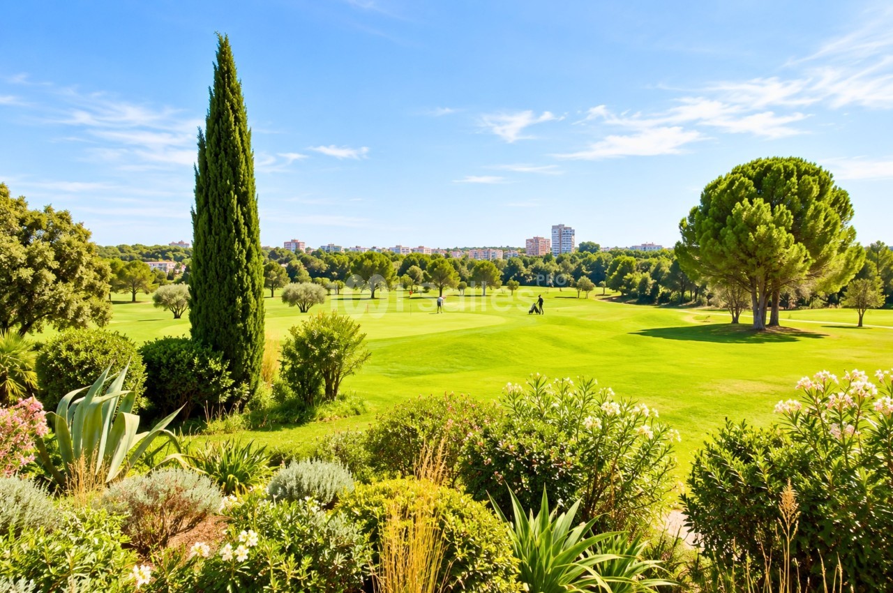 Parc paysagé avec vastes pelouses, arbustes fleuris au premier plan et cyprès, cityscape en arrière-plan.
