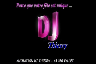 FLY MUSIC Animation DJ Thierry - photo 1