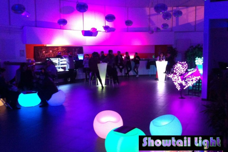 Showtail Light - photo 5