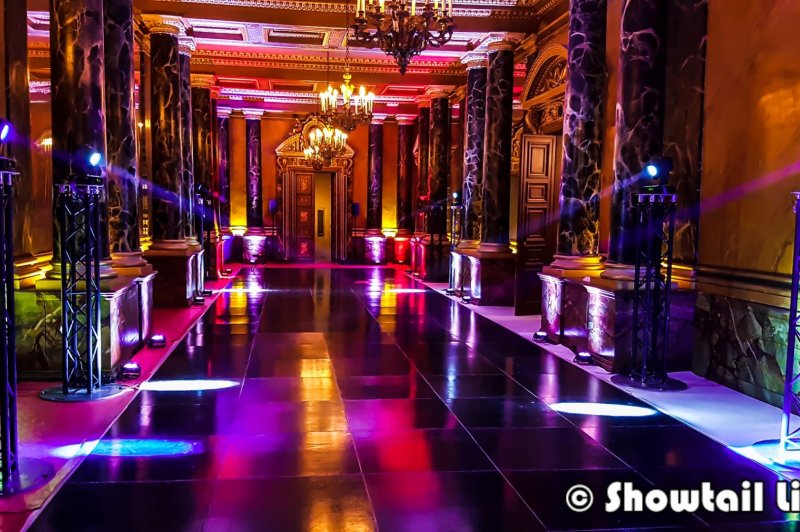 Showtail Light - photo 1