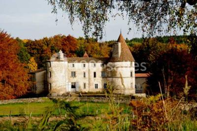 Château Des Martinanches - photo 5