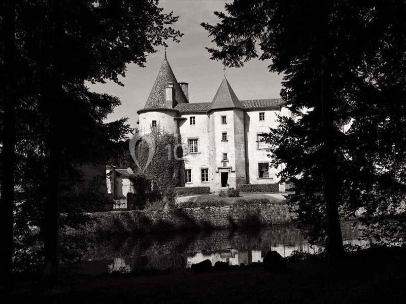 Château Des Martinanches - galerie - photo 3