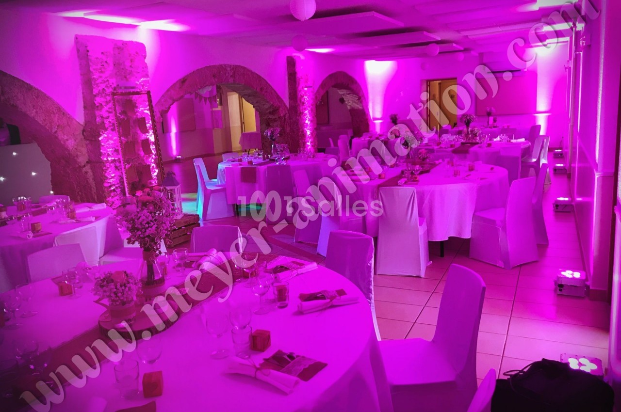 Meyer Animation - galerie - photo 3