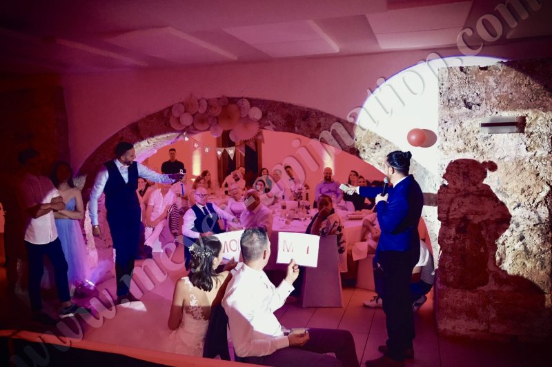 Meyer Animation - photo 5