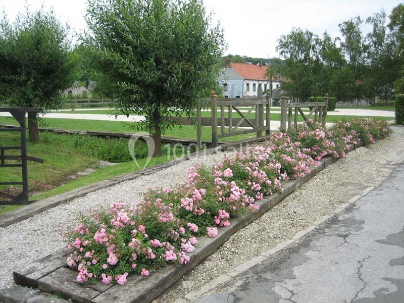 Massif de fleurs roses bordant une allée en gravier, entouré d'arbres et de bâtiments en arrière-plan.