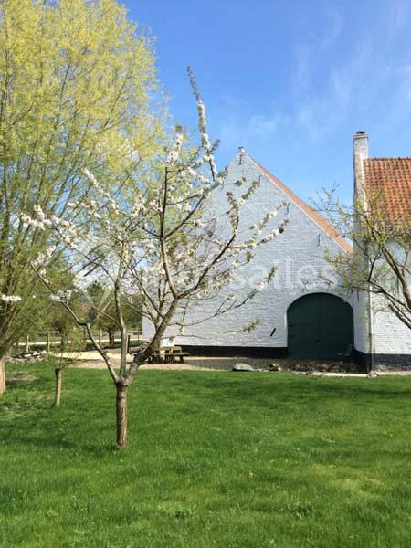 Arbre en fleurs devant un bâtiment blanc avec un toit en tuiles rouges, entouré d'herbe et d'arbres.
