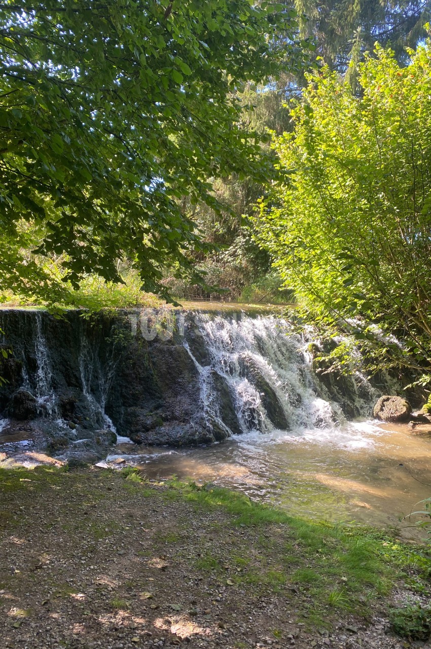 Le Domaine des Buis - galerie - photo 10