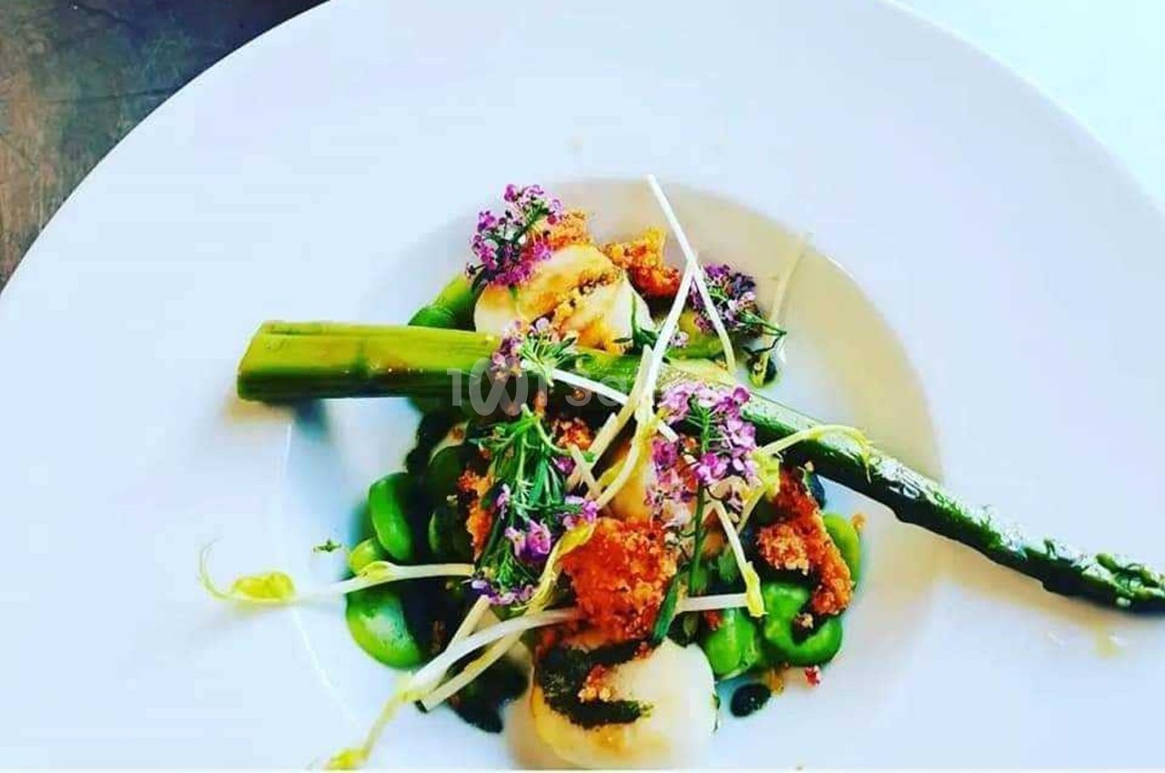 Assiette gastronomique avec asperges, fèves, noix de Saint-Jacques grillées et fleurs comestibles en décoration.
