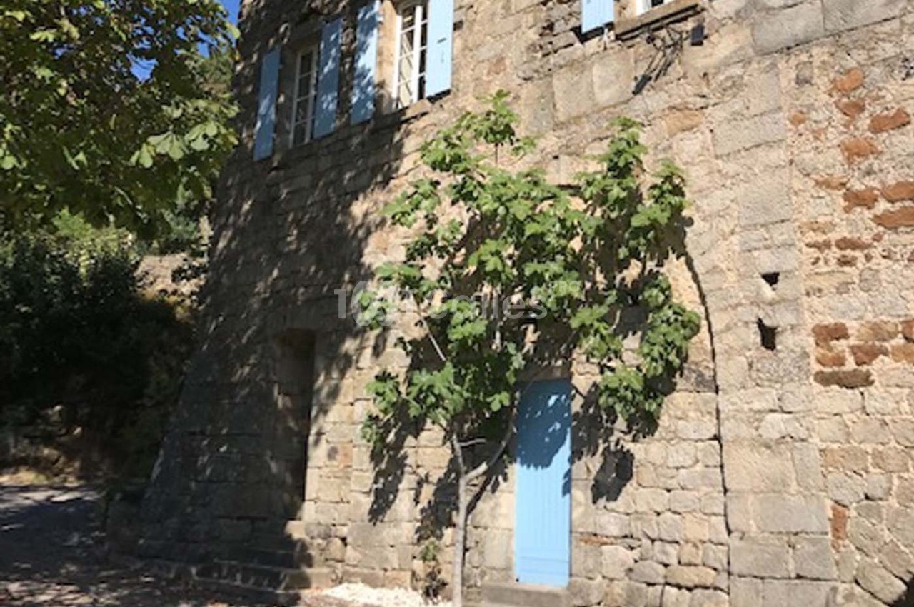 Façade en pierre d'une maison avec volets bleus, porte bleue et un figuier devant, éclairée par le soleil.