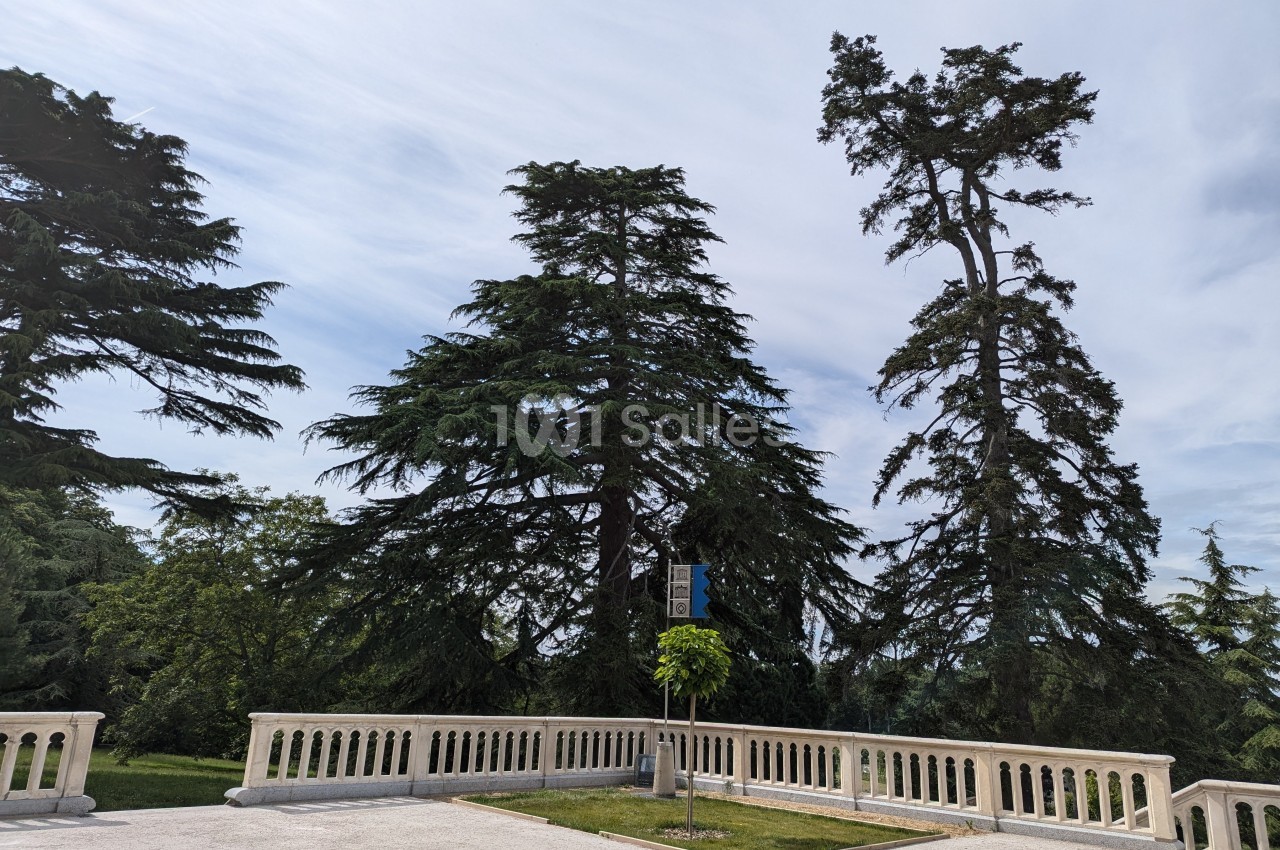 Terrasse en pierre bordée de balustrades, avec deux grands arbres et un ciel partiellement nuageux en arrière-plan.