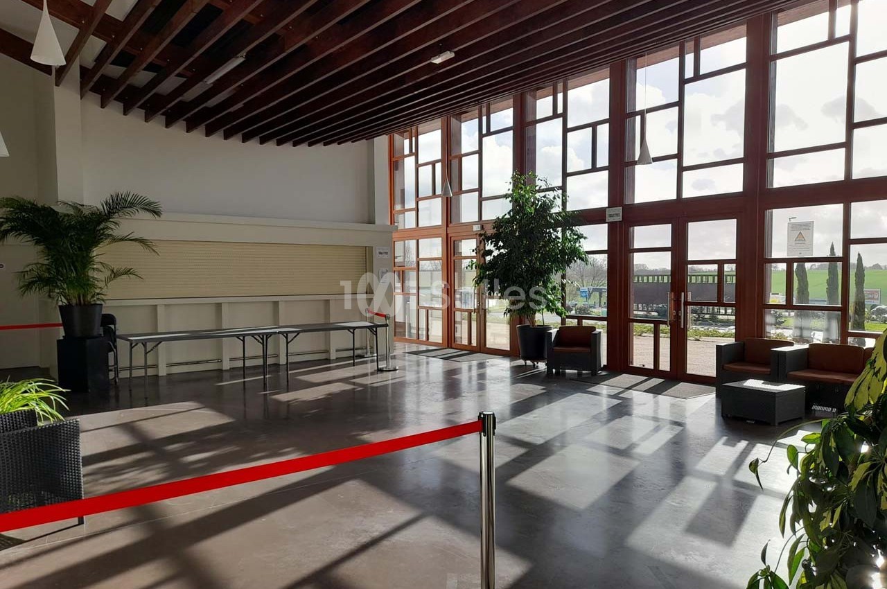 Salle lumineuse avec de grandes baies vitrées, des plantes, des fauteuils et une table pliante près d'une cloison.
