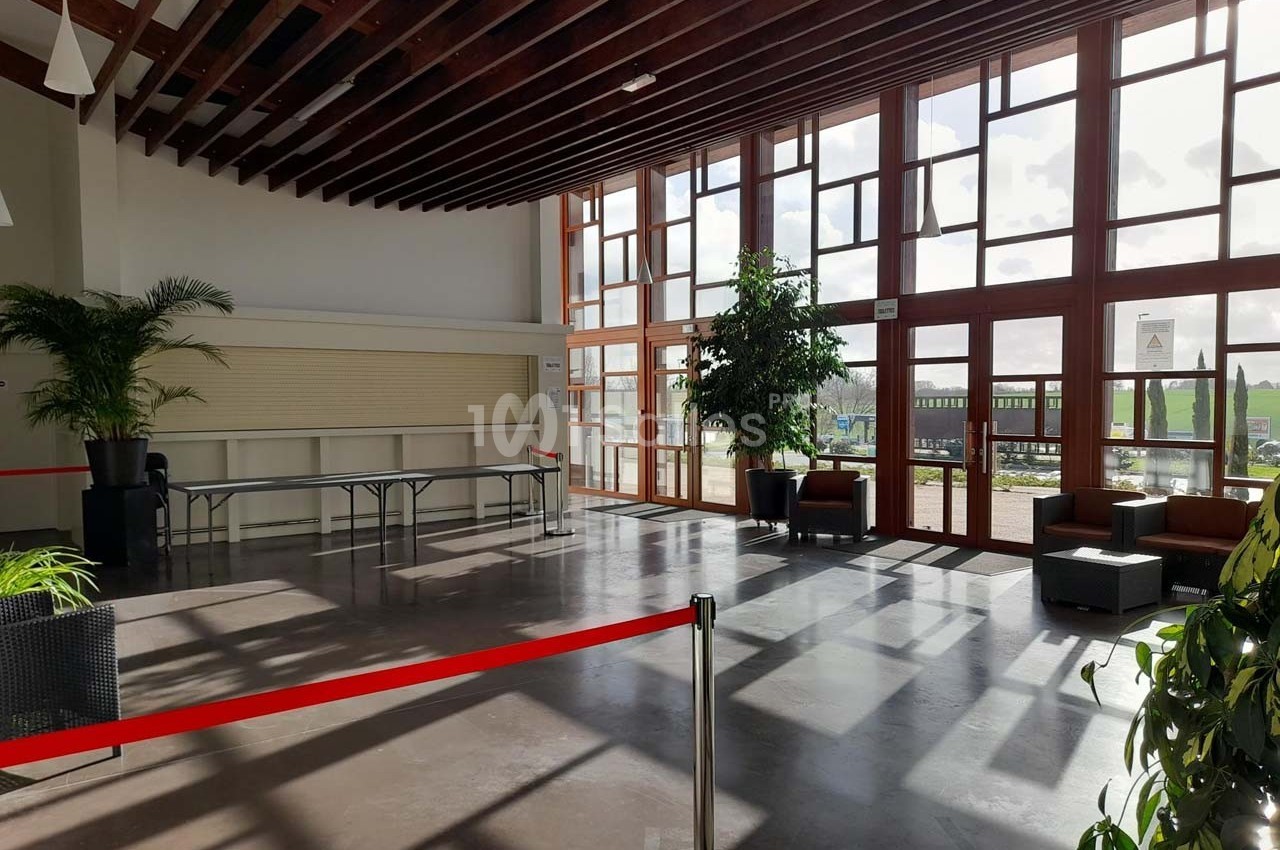 Salle lumineuse avec de grandes baies vitrées, des plantes, des fauteuils et une table pliante près d'un mur.