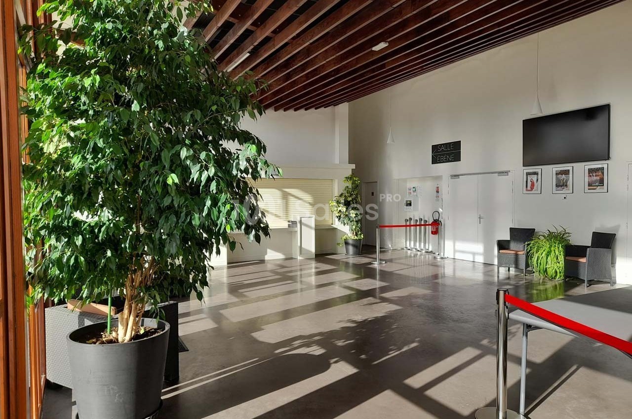 Hall lumineux avec un grand ficus en pot, des fauteuils, une télévision murale et une entrée de salle fermée par un ruban…