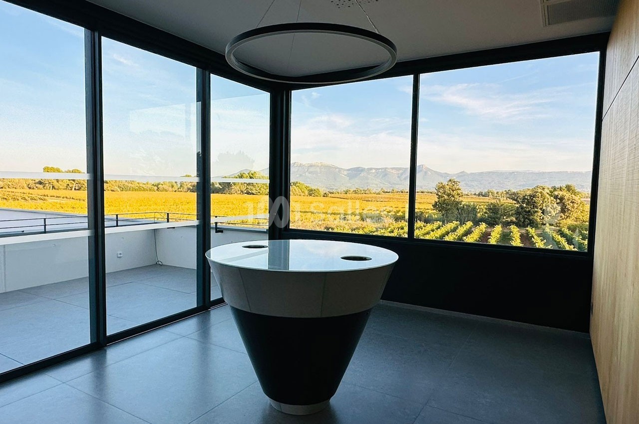Salle lumineuse avec une table centrale noire et blanche, entourée de grandes baies vitrées offrant une vue sur des vignes…