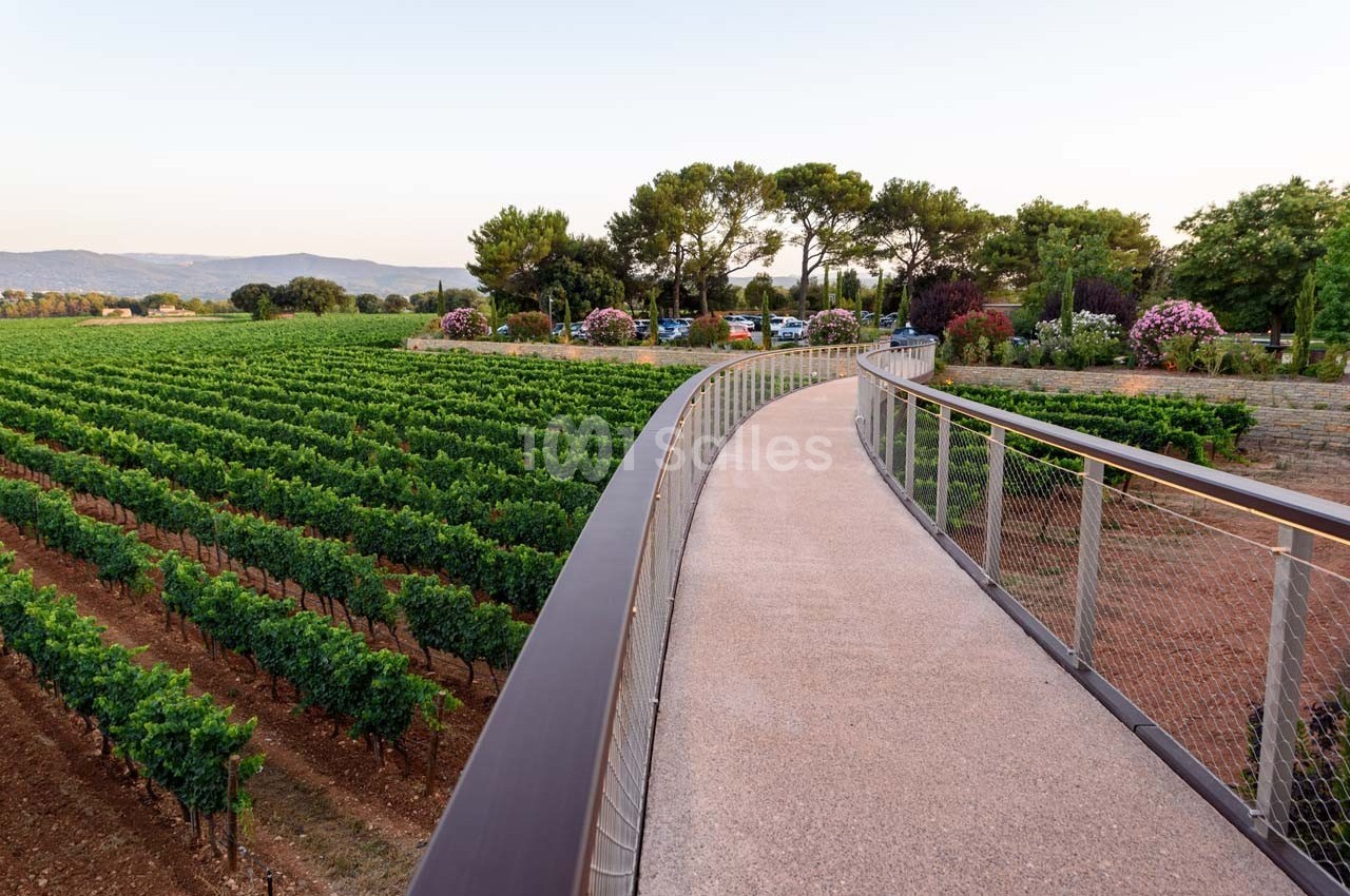 Passerelle en béton bordée de garde-corps métalliques surplombant des rangées de vignes et des arbres en arrière-plan.