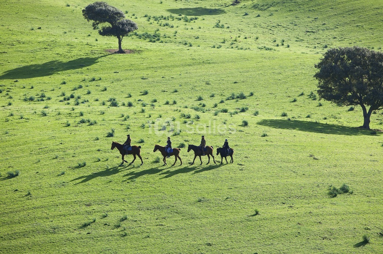 Domaine de Murtoli - galerie - photo 46
