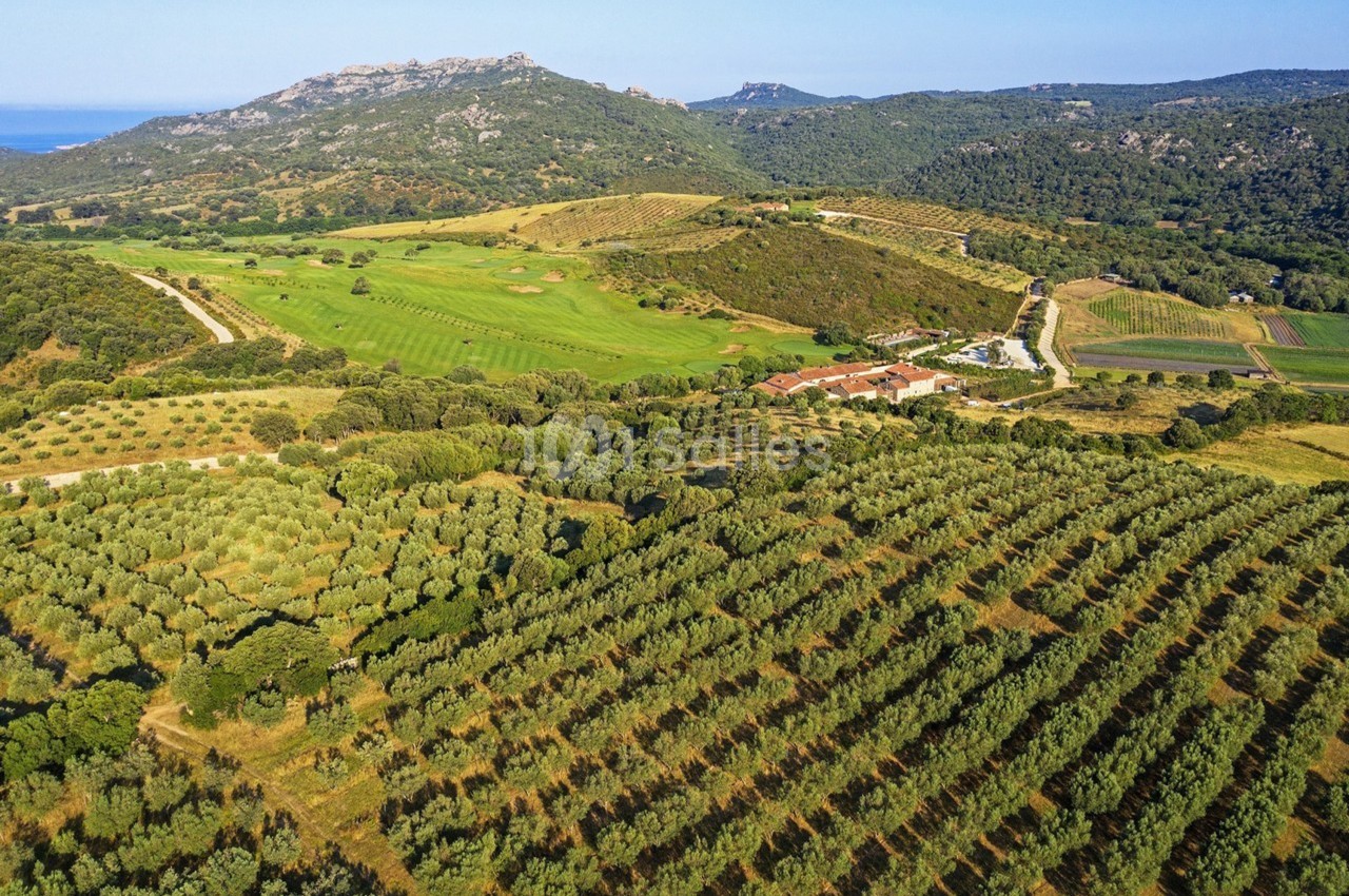 Domaine de Murtoli - galerie - photo 18