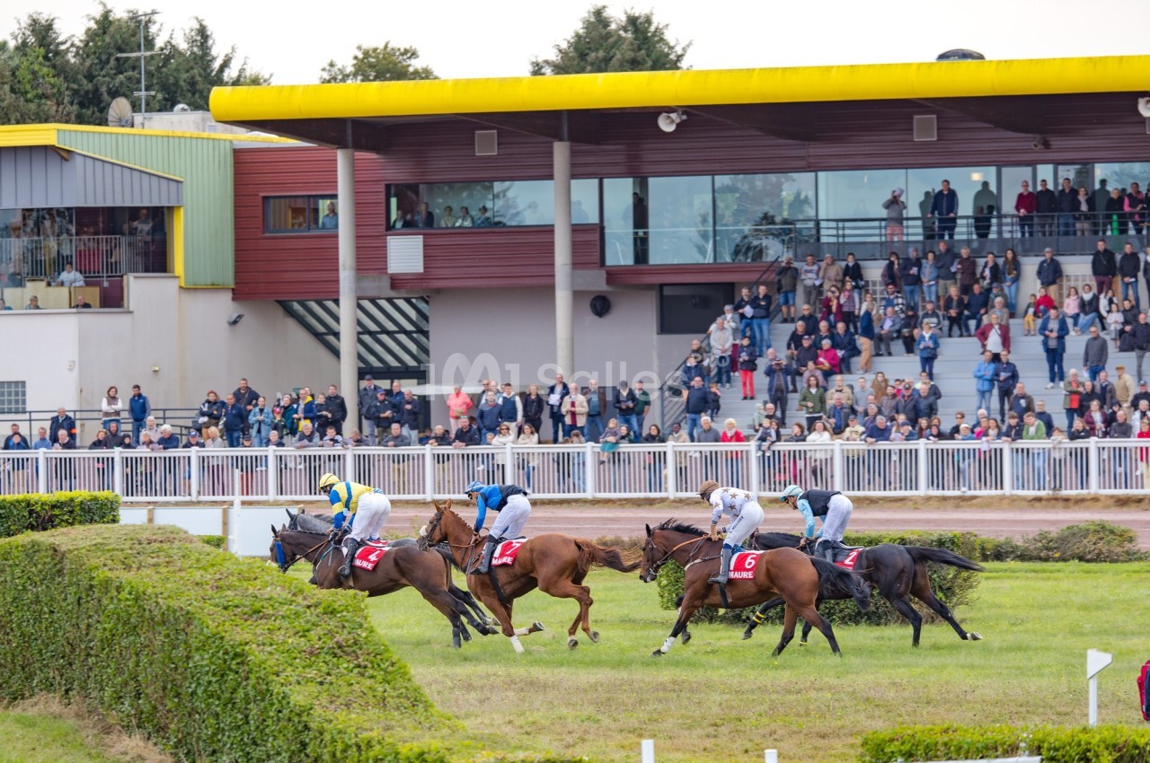 Des chevaux montés par des jockeys en pleine course sur un hippodrome, avec des spectateurs en arrière-plan.