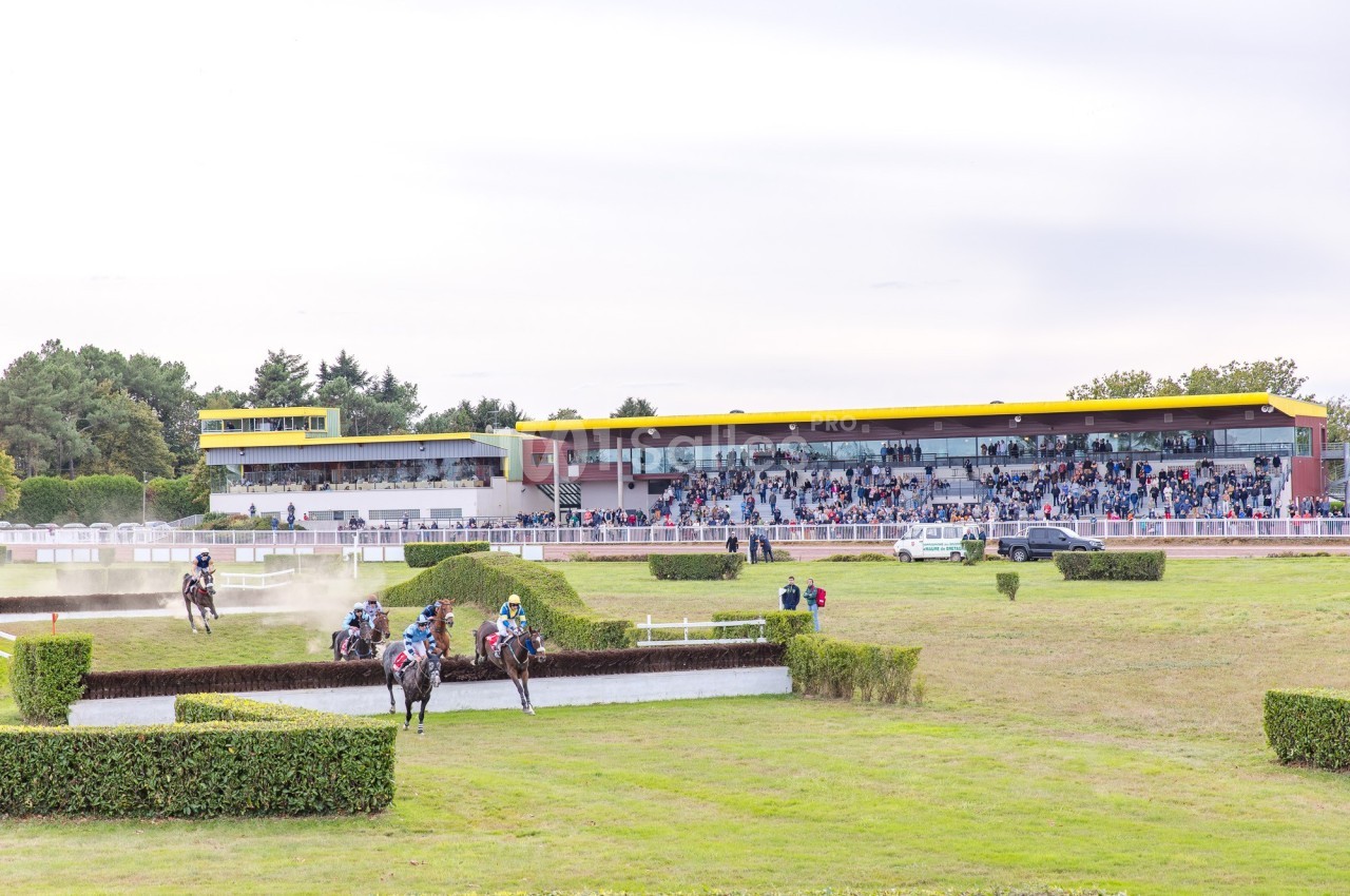 Course hippique avec des chevaux sautant un obstacle devant des spectateurs dans un hippodrome.