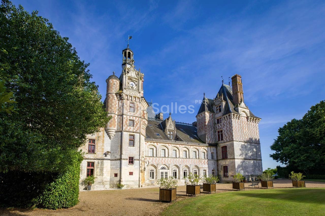 Château de Montigny le Gannelon - galerie - photo 8