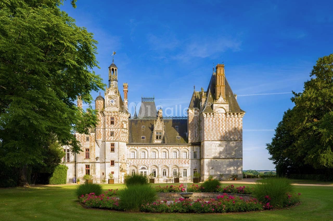 Château de Montigny le Gannelon - galerie - photo 10