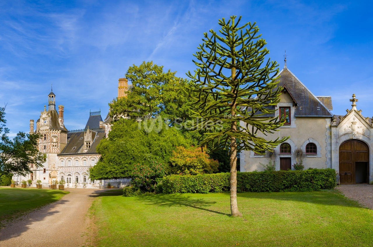 Château de Montigny le Gannelon - galerie - photo 24