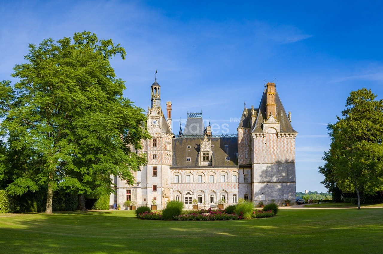 Château de Montigny le Gannelon - galerie - photo 25
