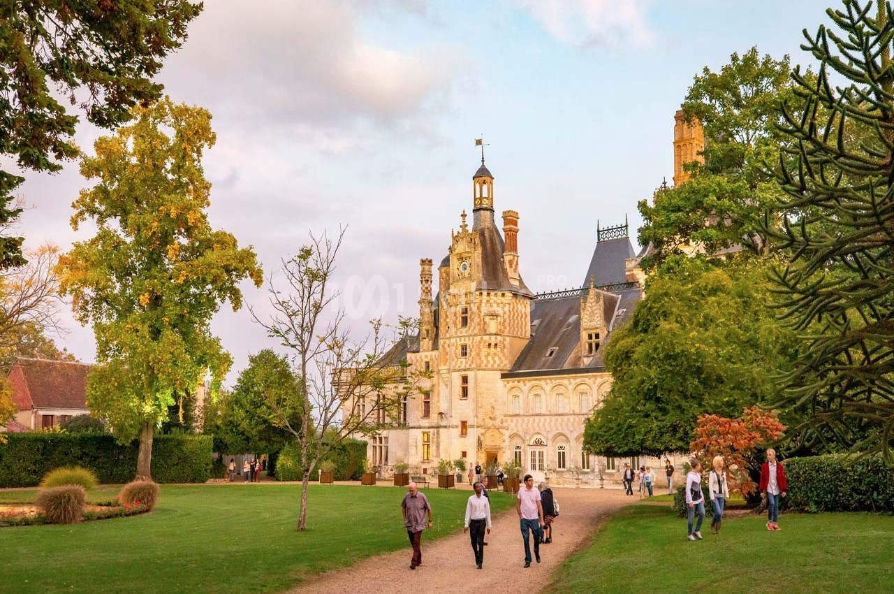 Château de Montigny le Gannelon - galerie - photo 32