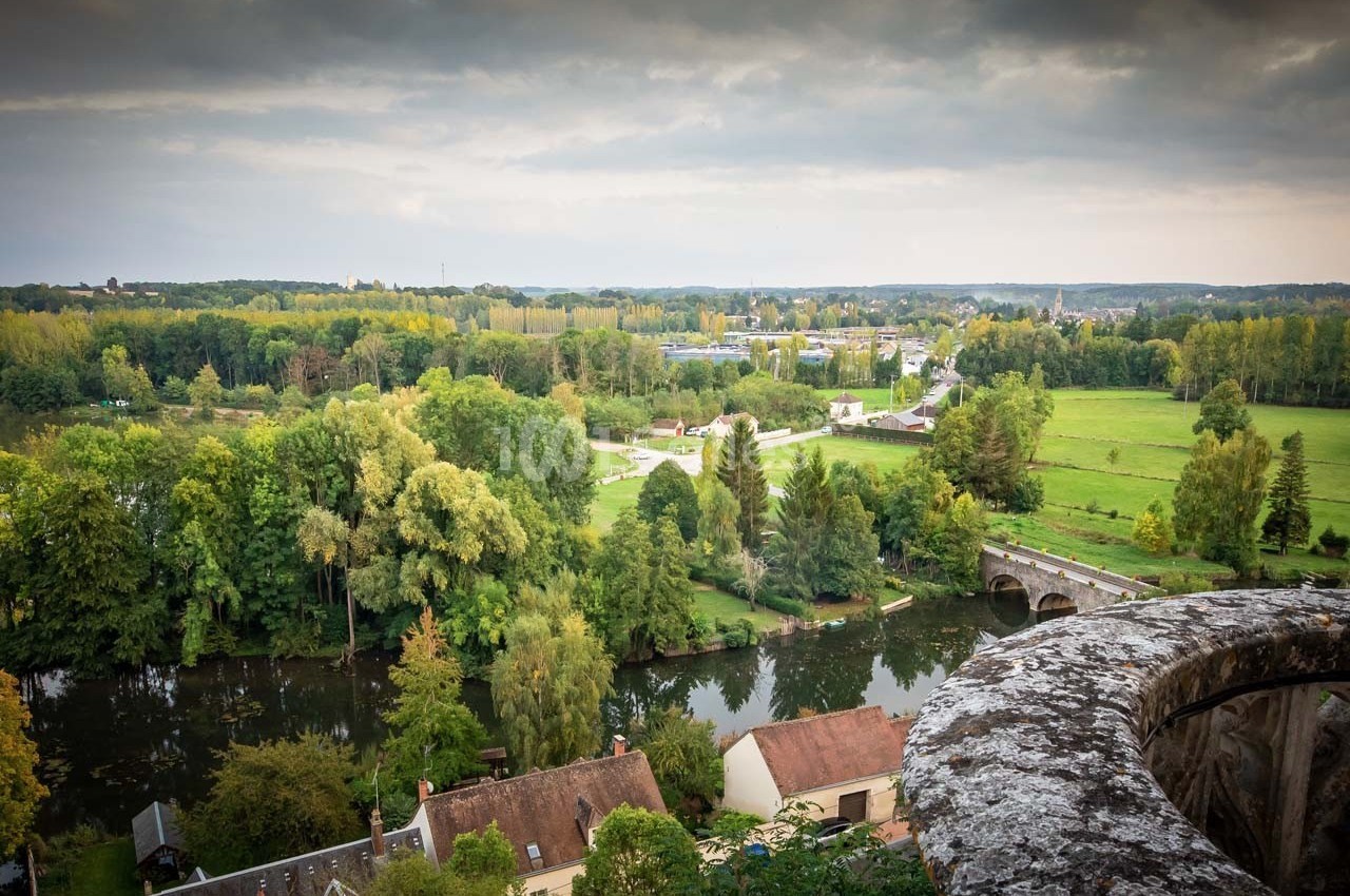 Château de Montigny le Gannelon - galerie - photo 37