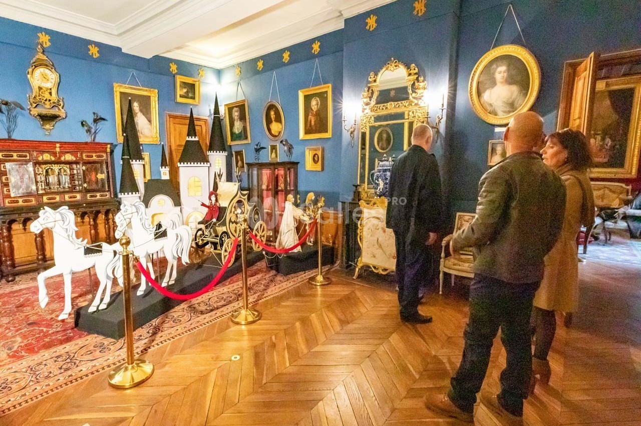 Château de Montigny le Gannelon - galerie - photo 39