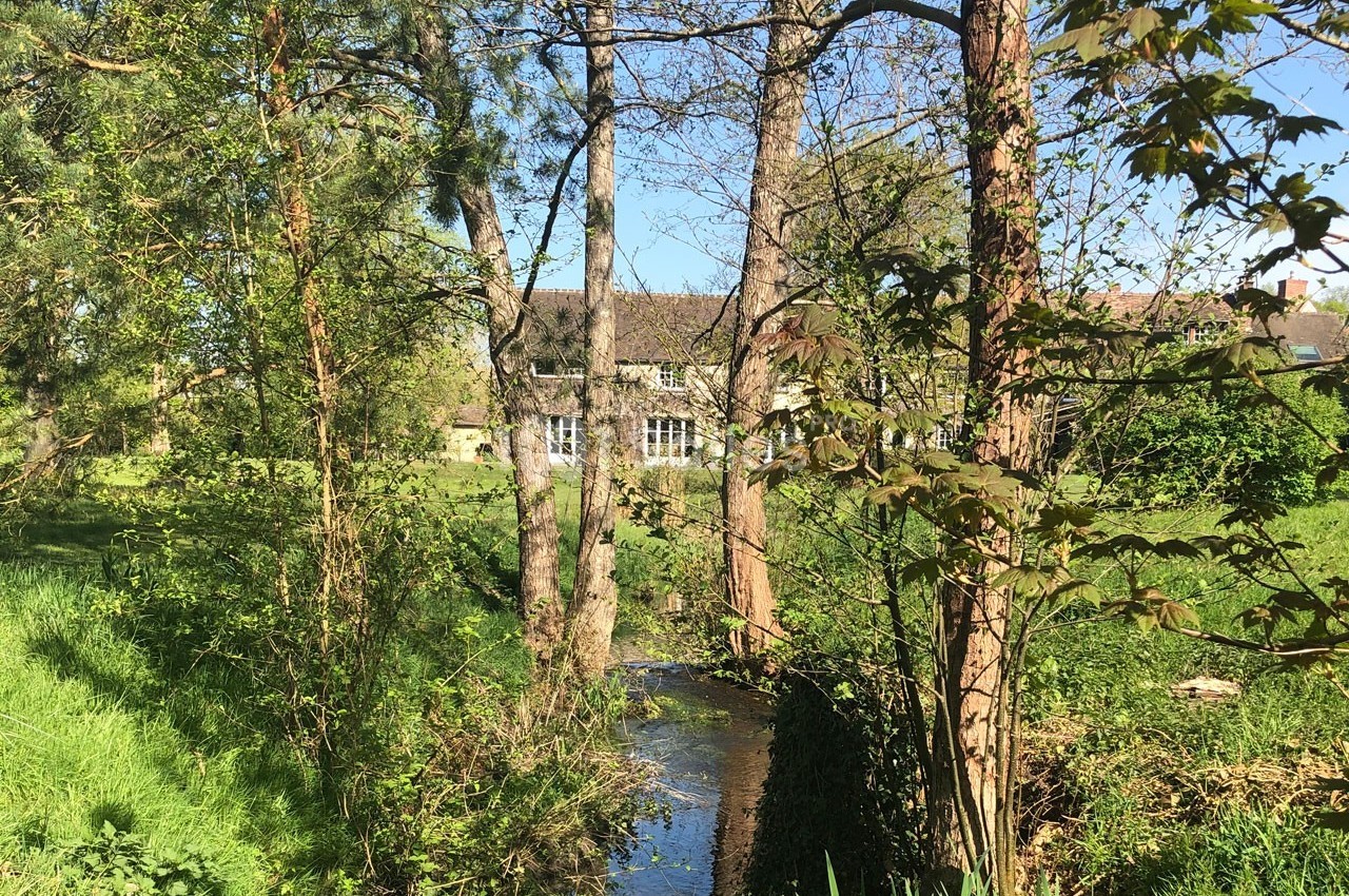 Petit ruisseau traversant un espace verdoyant avec des arbres, une pelouse et un bâtiment en arrière-plan.