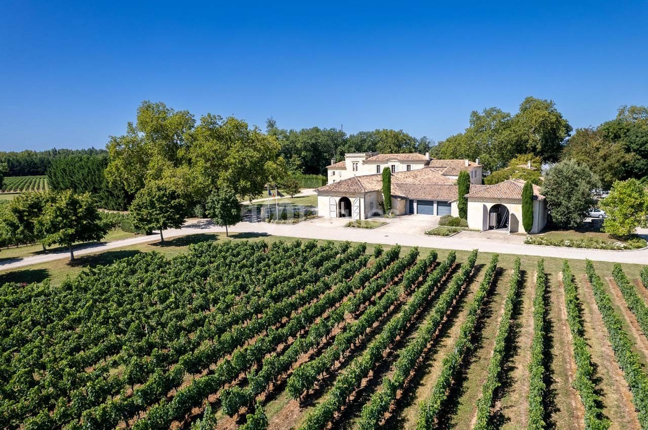 Vue aérienne d'une maison en pierre entourée de vignes et d'arbres, sous un ciel bleu dégagé.