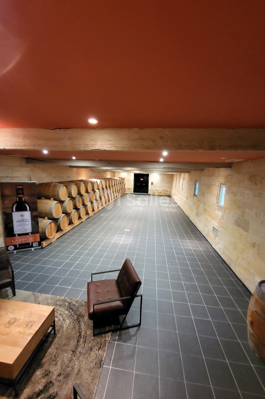 Salle de dégustation avec barriques en bois alignées le long d'un mur en pierre et mobilier moderne au premier plan.