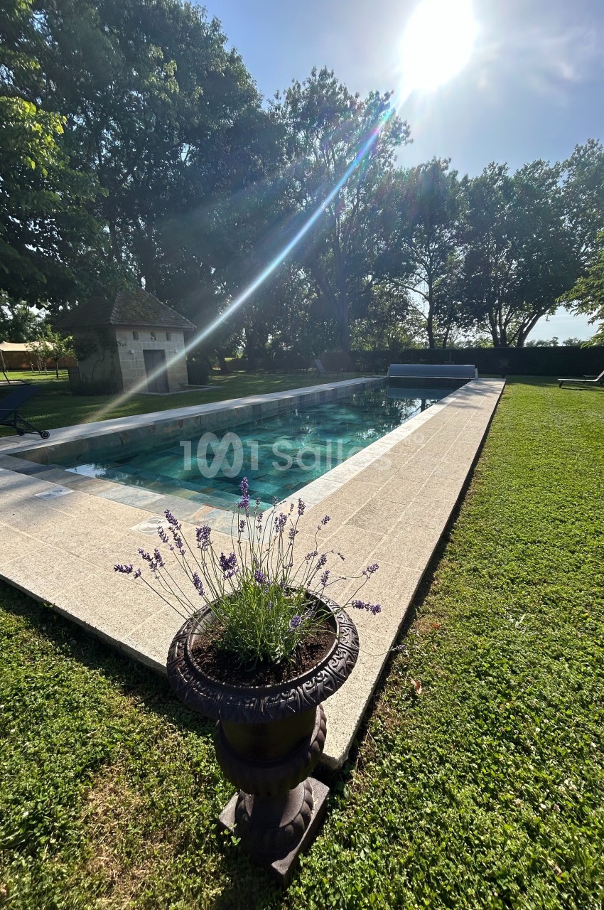 Piscine extérieure entourée de verdure, avec un pot de lavande au premier plan et des arbres en arrière-plan.