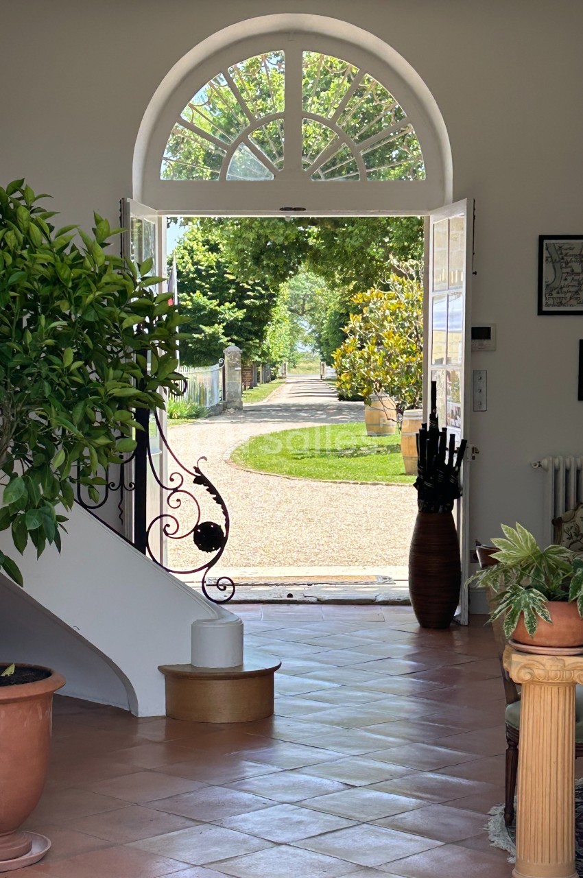 Vue depuis l'intérieur d'une maison lumineuse avec une porte ouverte sur un chemin bordé d'arbres et de verdure.
