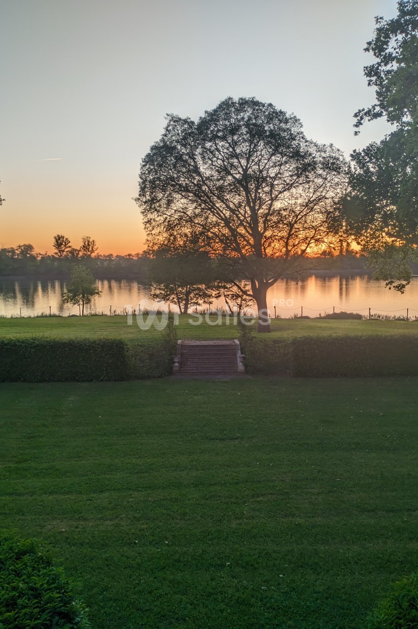 Vue d'un jardin verdoyant avec un arbre central, un escalier en pierre et un lac au coucher du soleil.