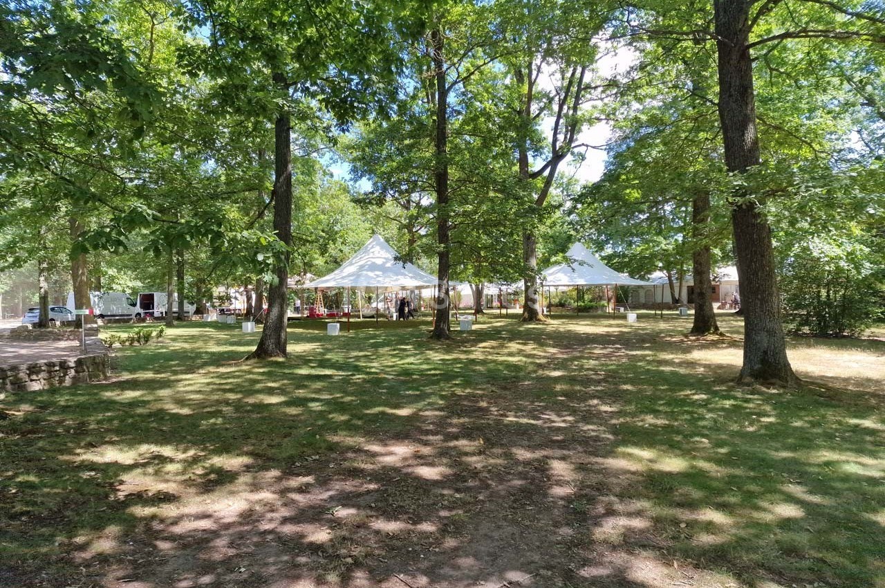 Tentes blanches installées dans une clairière ombragée entourée d'arbres, par une journée ensoleillée.