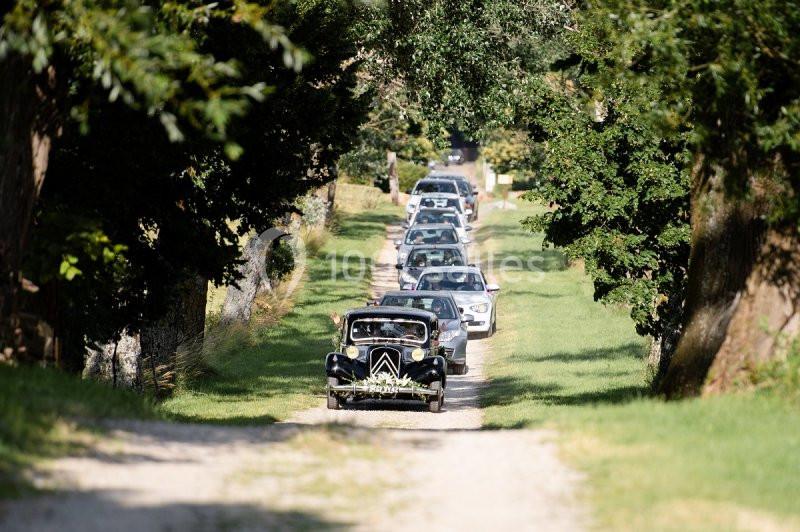 Cortège de voitures anciennes et modernes avançant sur un chemin bordé d'arbres en pleine campagne.