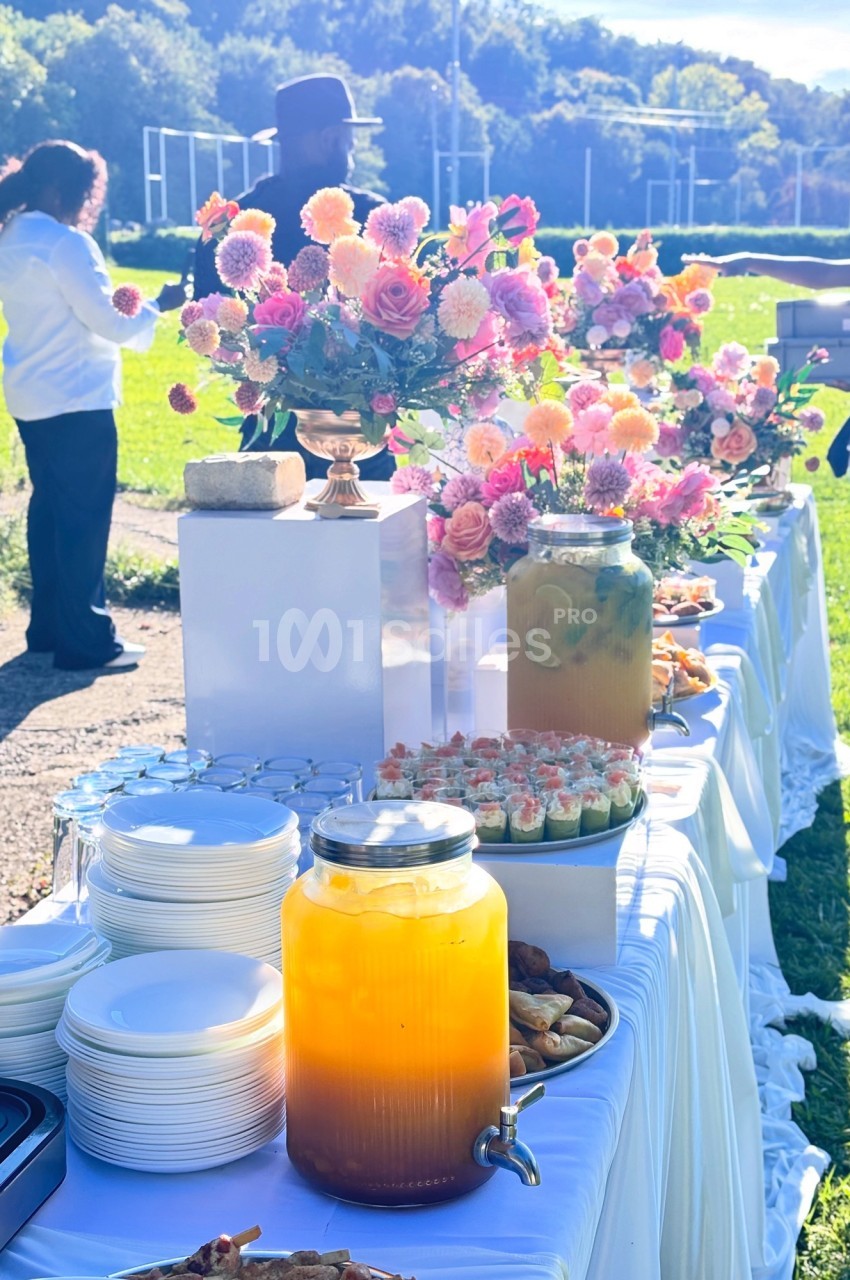 Table dressée en extérieur avec boissons, fleurs colorées et petits plats, sous un ciel ensoleillé.