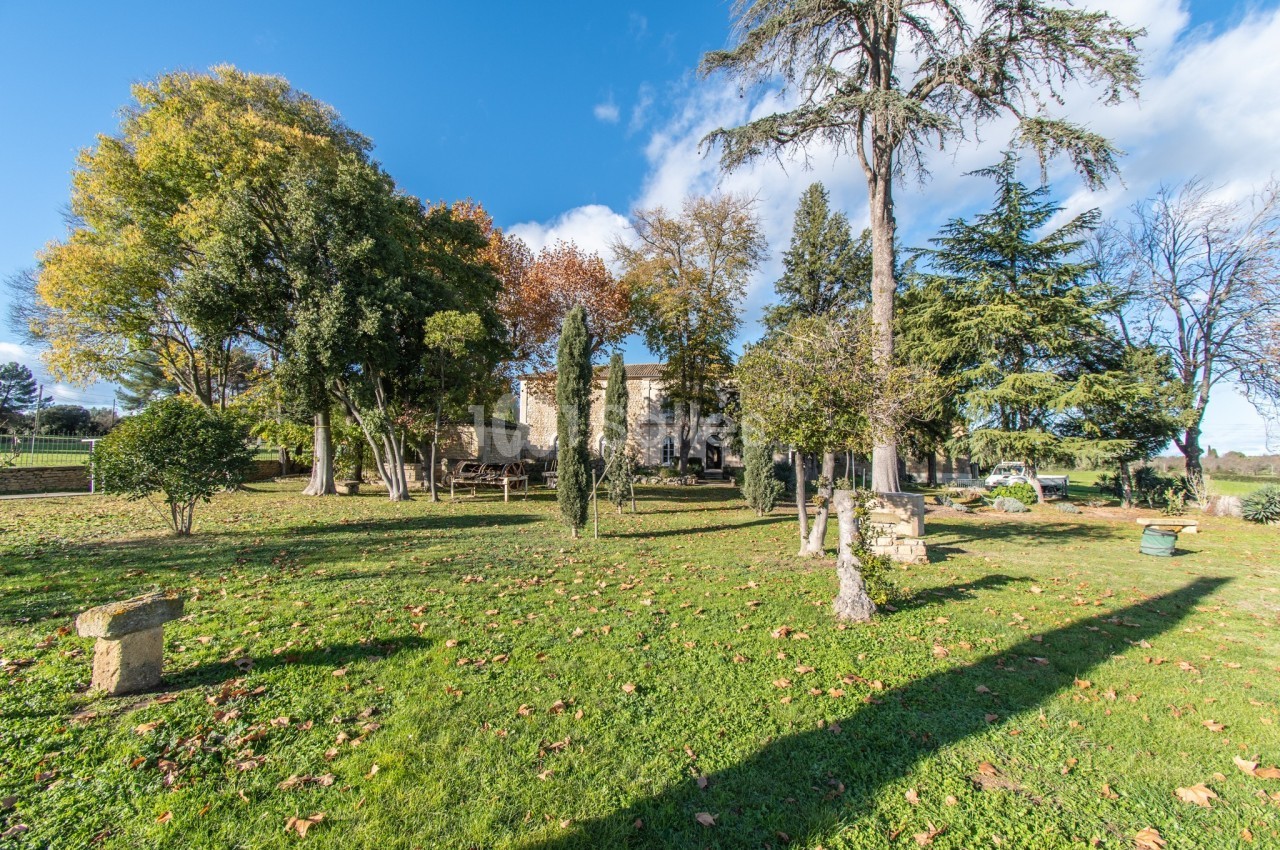 Jardin verdoyant avec arbres variés, pelouse parsemée de feuilles et bâtiment en pierre en arrière-plan.