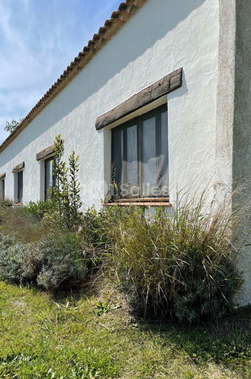 Façade blanche d'une maison avec des fenêtres encadrées de bois, entourée de végétation et d'herbes sous un ciel clair.