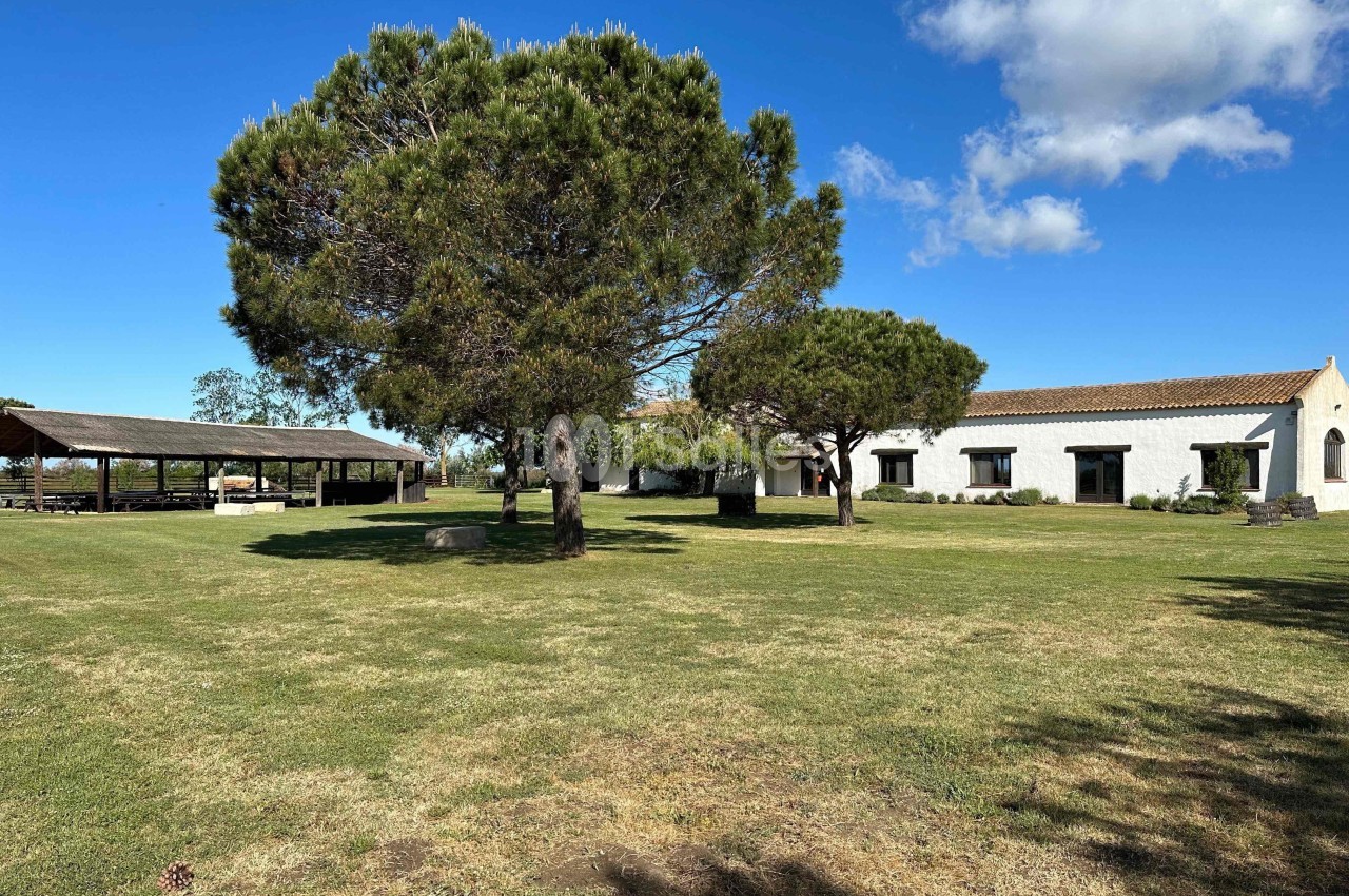 Grand espace vert avec pelouse, arbres, bâtiment blanc à toit en tuiles et structure couverte en bois sous un ciel bleu.