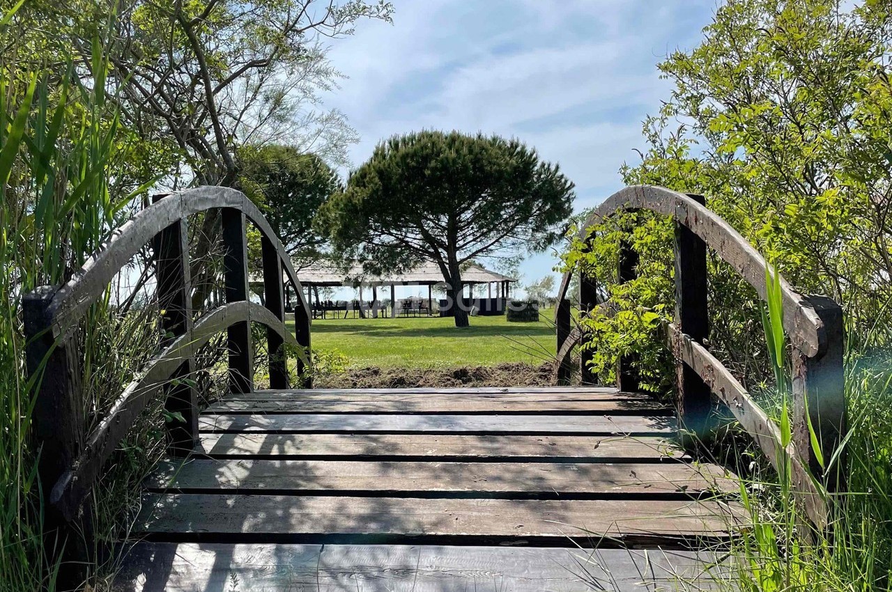 Pont en bois traversant un espace verdoyant, menant à un arbre et une structure ouverte sous un ciel dégagé.